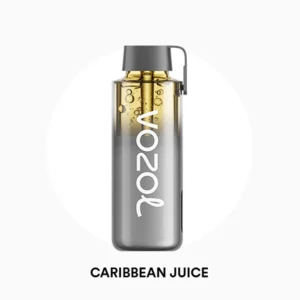 Vozol Neon Pro 12000 Caribbean Juice