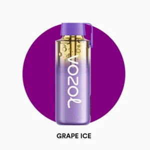 Vozol Neon Pro 12000 Grape Ice